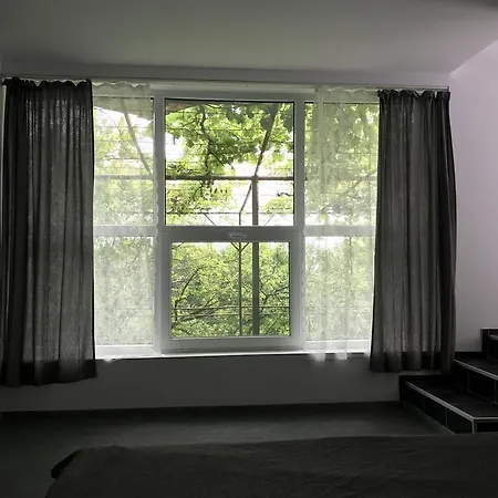 Dacha Апартаменты Золотые Пески
